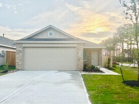 1376 Diamond Carnation Dr in Conroe, TX - Building Photo
