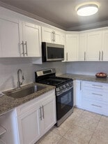 20251 NE 2nd Ave in Miami, FL - Building Photo