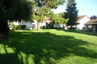 232 Truckee Ln in San Jose, CA - Foto de edificio - Building Photo