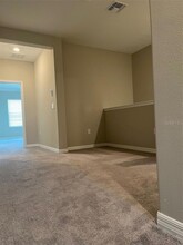 31672 Blue Passing Loop, Unit 4-A in Wesley Chapel, FL - Building Photo - Building Photo