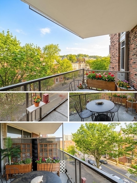 property at 19 Winchester St