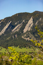 OLIV-Boulder in Boulder, CO - Building Photo - Building Photo