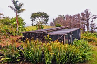 1990 Olinda Rd in Makawao, HI - Building Photo - Building Photo