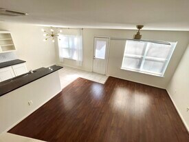 58 Musgrove Pl in Spring, TX - Building Photo