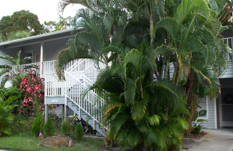 1885 Courtyard Way in Naples, FL - Building Photo