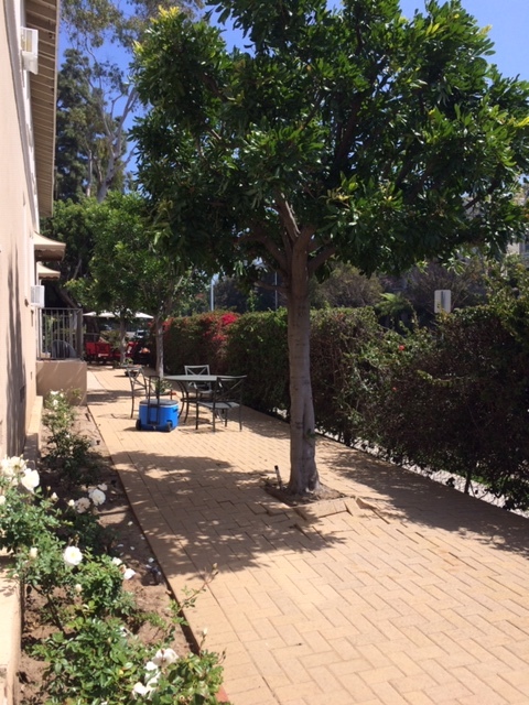 760 S Barrington Ave, Unit #4 in Los Angeles, CA - Building Photo - Building Photo