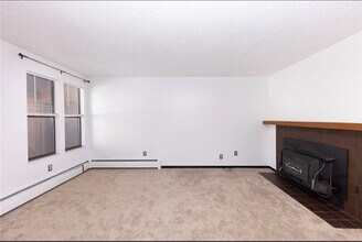 620 Straight Creek Dr in Dillon, CO - Building Photo - Building Photo