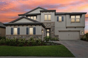 12829 Tortoise Shell Pl in Riverview, FL - Building Photo