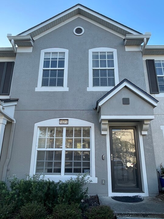 10310 Estero Bay Ln in Tampa, FL - Building Photo