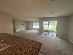 1113 Golden Shiner Ave in Ruskin, FL - Building Photo - Building Photo