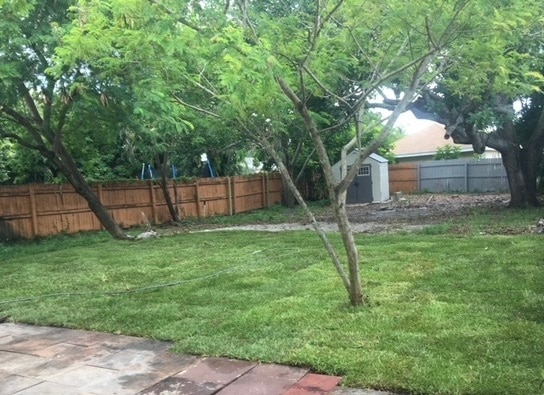 2435 Grant St in Hollywood, FL - Foto de edificio - Building Photo