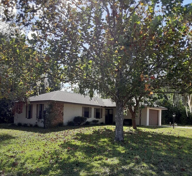 property at 805 Hemlock St