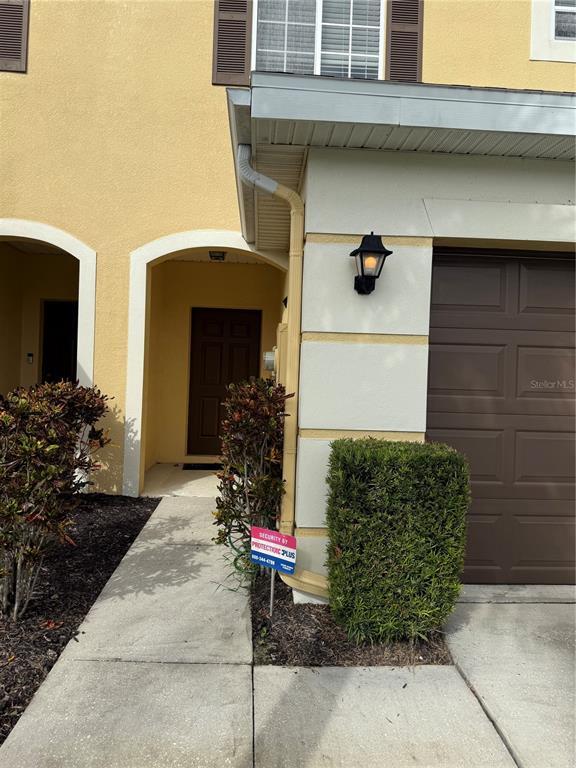 20460 Needletree Dr in Tampa, FL - Building Photo - Building Photo