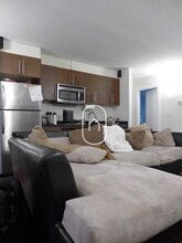 20 E Springfield St, Unit 1 in Boston, MA - Building Photo - Building Photo