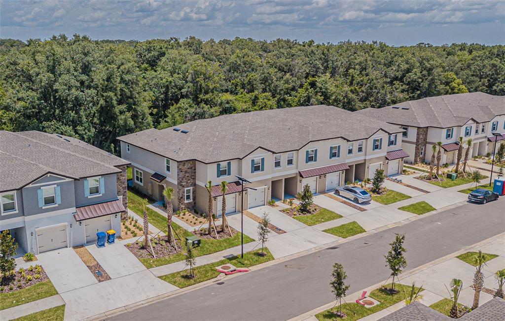 10210 Trumpet Honeysuckle Wy in San Antonio, FL - Building Photo