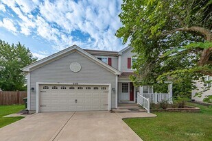 2316 Periwinkle Ct in Naperville, IL - Building Photo