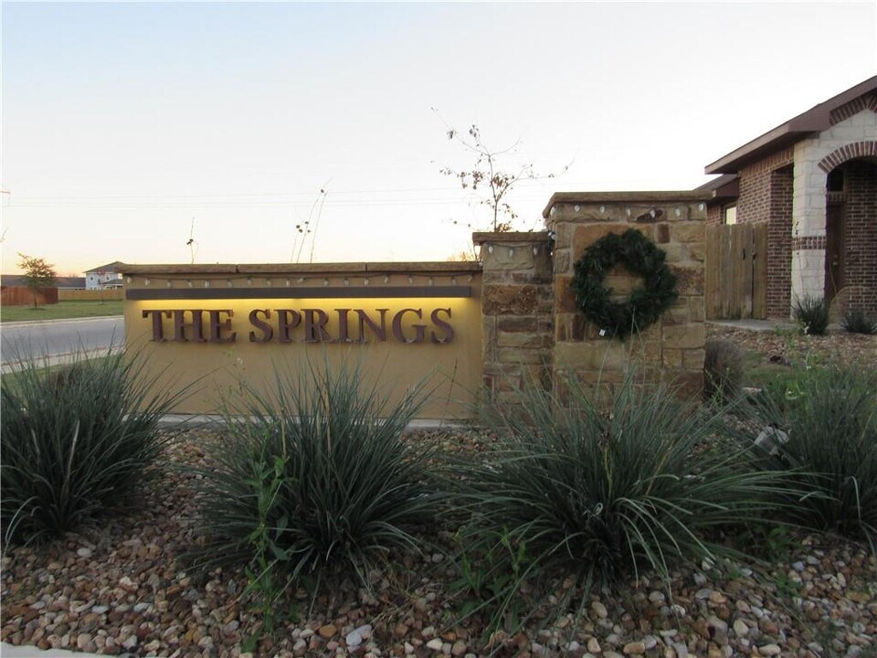 102 Hidden Springs Dr in Bastrop, TX - Building Photo