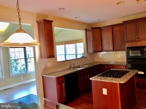 20084 Boxwood Pl in Ashburn, VA - Building Photo - Building Photo