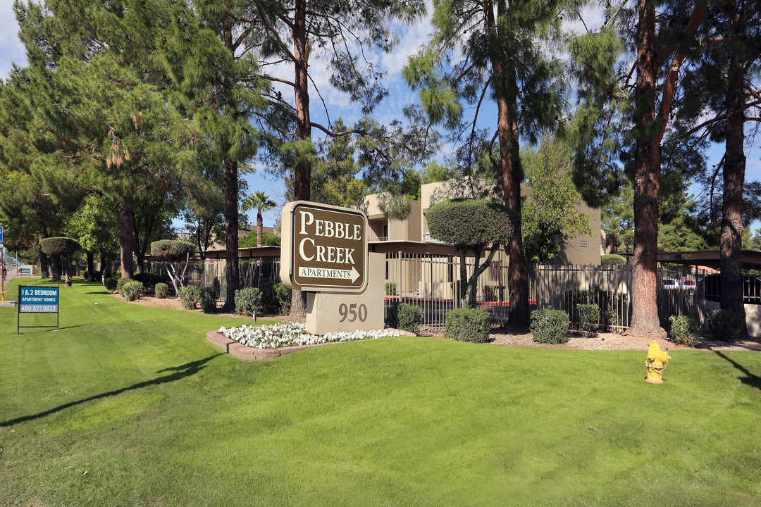 Pebble Creek in Mesa, AZ - Foto de edificio