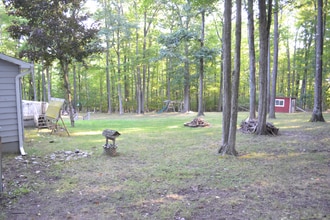 8376 Hillcrest Rd in Roscommon, MI - Building Photo - Building Photo
