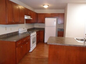 503 Davidson Dr in Minooka, IL - Building Photo - Building Photo