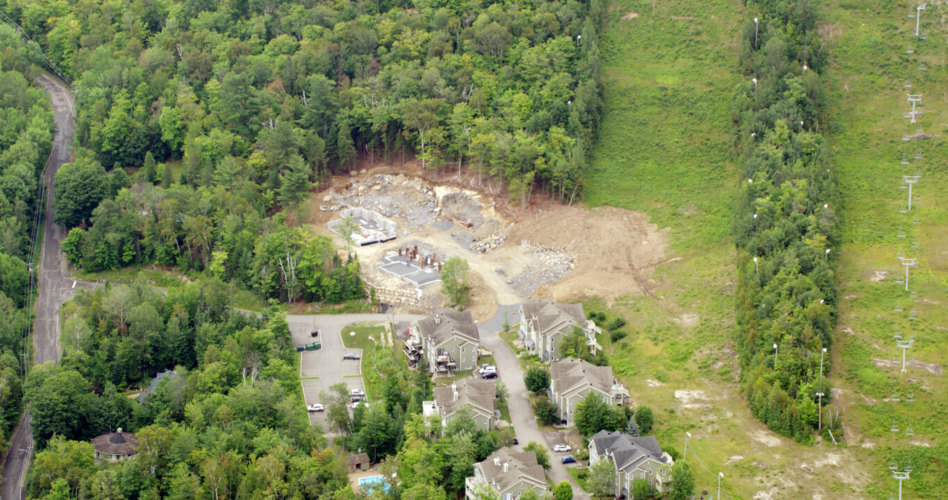 390 De La Montagne Ch in Piedmont, QC - Building Photo