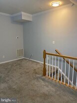 20375 Belmont Park Terrace in Ashburn, VA - Building Photo