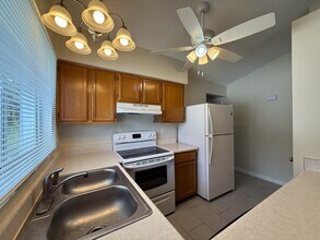 4719 Silver Cir in Zephyrhills, FL - Building Photo - Building Photo