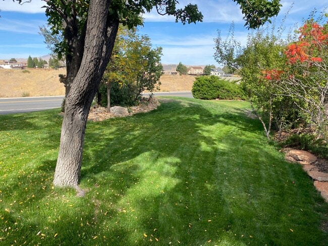 3580 Skyline View Dr in Reno, NV - Building Photo - Building Photo