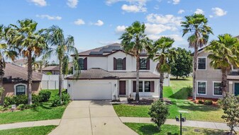 14336 Haddon Mist Dr in Wimauma, FL - Building Photo