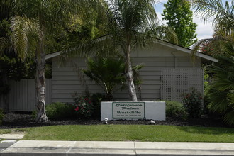 California Palms in Walnut Creek, CA - Building Photo - Building Photo