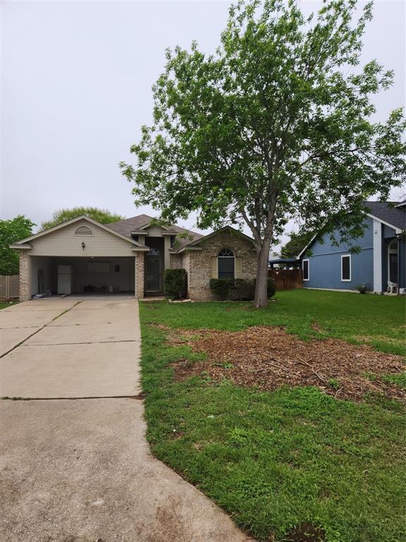 1007 Buttercup Ct in Leander, TX - Building Photo - Building Photo