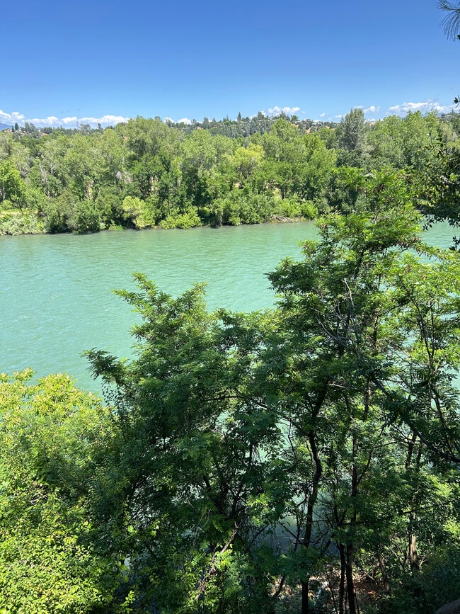 1046 Continental St in Redding, CA - Building Photo - Building Photo