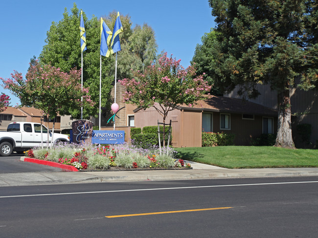 Sand Creek Apartments in Lodi, CA - Building Photo - Building Photo