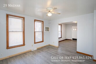 29 Magyar St in Toledo, OH - Building Photo - Building Photo