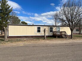 1407 N 10th St in Alpine, TX - Building Photo