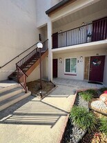 9133 SW 138th Pl in Miami, FL - Building Photo