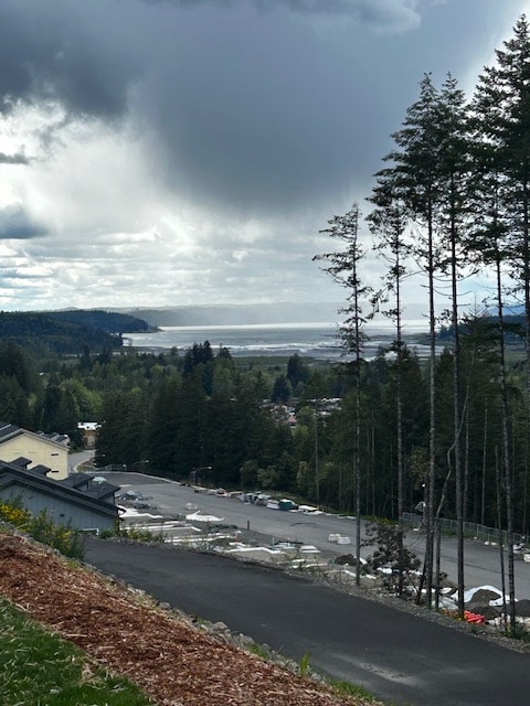 370 NE Olympic Rdg Rd in Belfair, WA - Building Photo - Building Photo