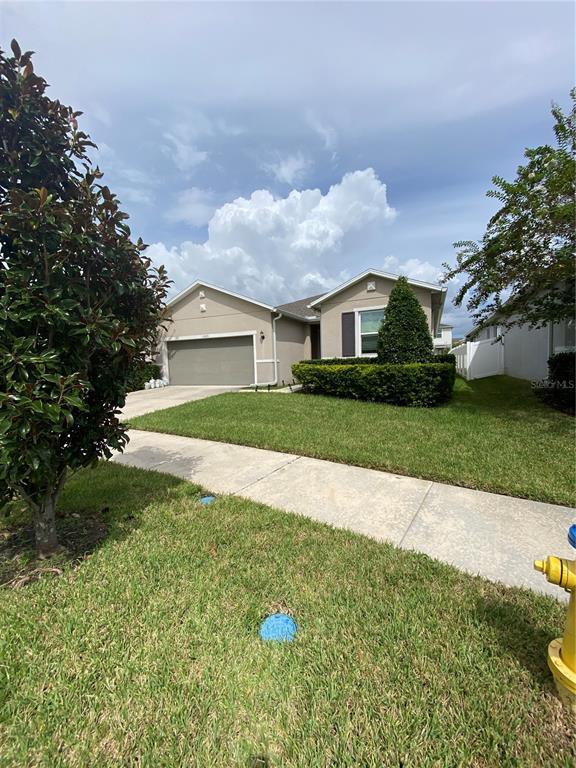11525 Palmetto Sands Ct in Westchase, FL - Building Photo - Building Photo