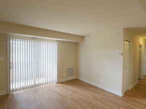 Forrest Street in Baltimore, MD - Building Photo - Interior Photo