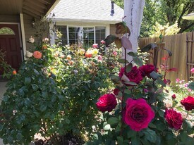 885 Randall St in Eugene, OR - Building Photo