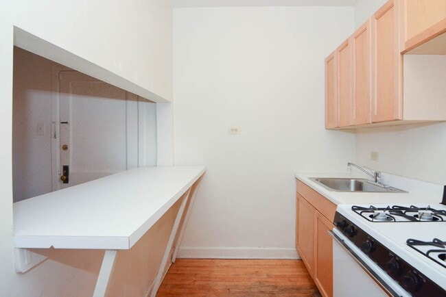 1055 W George St in Chicago, IL - Building Photo - Building Photo