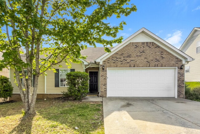 property at 176 Howard Woody Dr