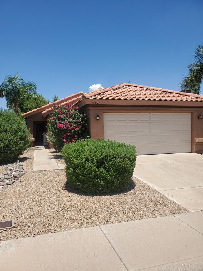 property at 4750 E Angela Dr