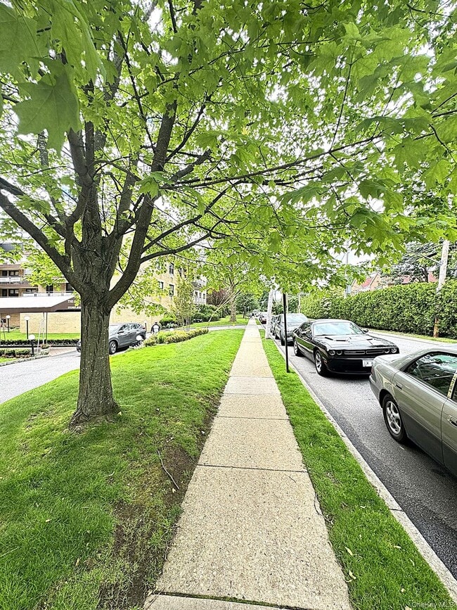 40 Stoner Ave in Great Neck, NY - Building Photo - Building Photo