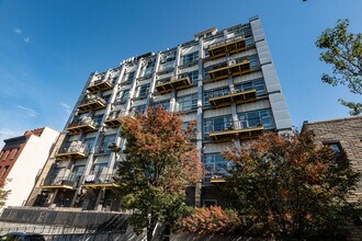 Eckford Apartments in Brooklyn, NY - Building Photo - Building Photo