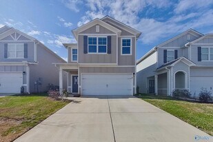 6107 Stonewater Ct in Huntsville, AL - Building Photo