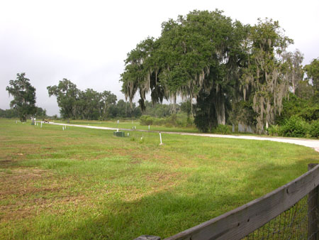 52 LOTS MOBILE HOME PARK in Lake Panasoffkee, FL - Building Photo