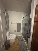 596 White Laurel Ln in Boone, NC - Building Photo