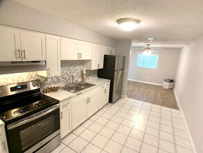 Orleans Apartments in Tampa, FL - Building Photo - Building Photo